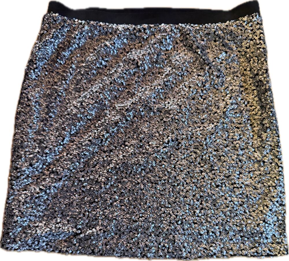 LOFT Skirt Womens Size 14 Silver Sequin Mini Lined Side Zip Party Holiday